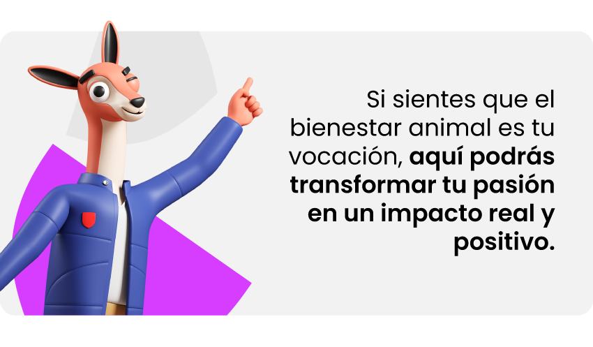 vocación medicina veterinaria y zootecnia