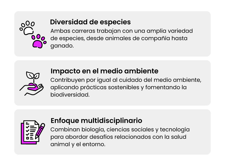 Similitudes entre la carrera de medicina veterinaria y zootecnia