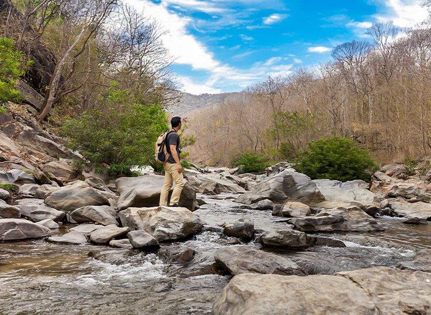 joven observando la naturaleza y pensando en su vocación profesional