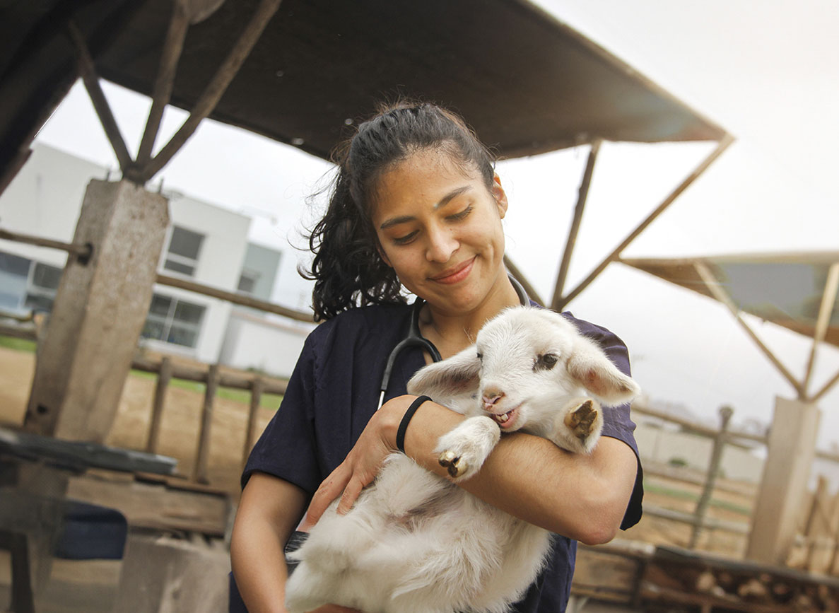 Cursos de Medicina Veterinaria y Zootecnia