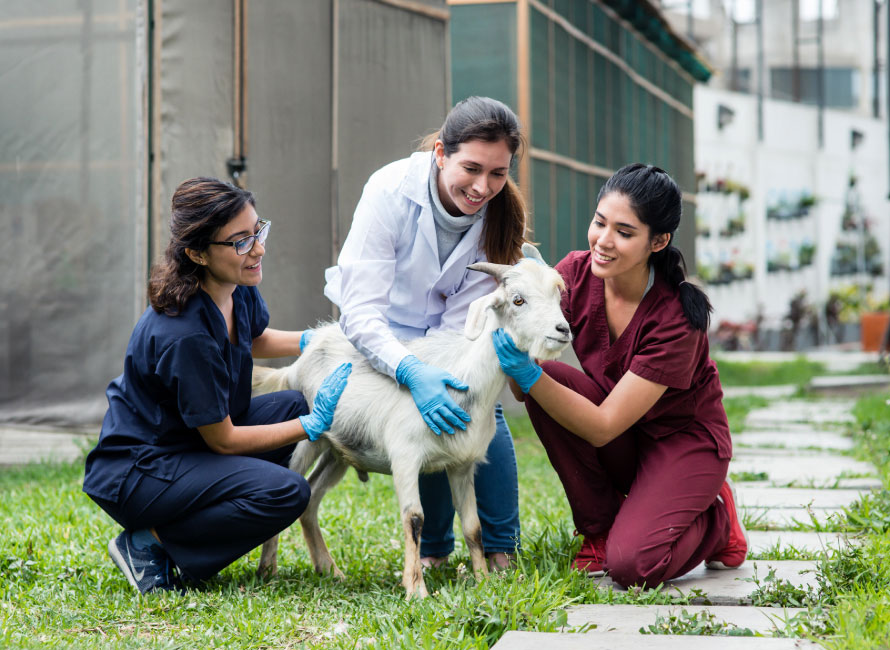 alumnos de Cayetano de Veterinaria y Zootecnia