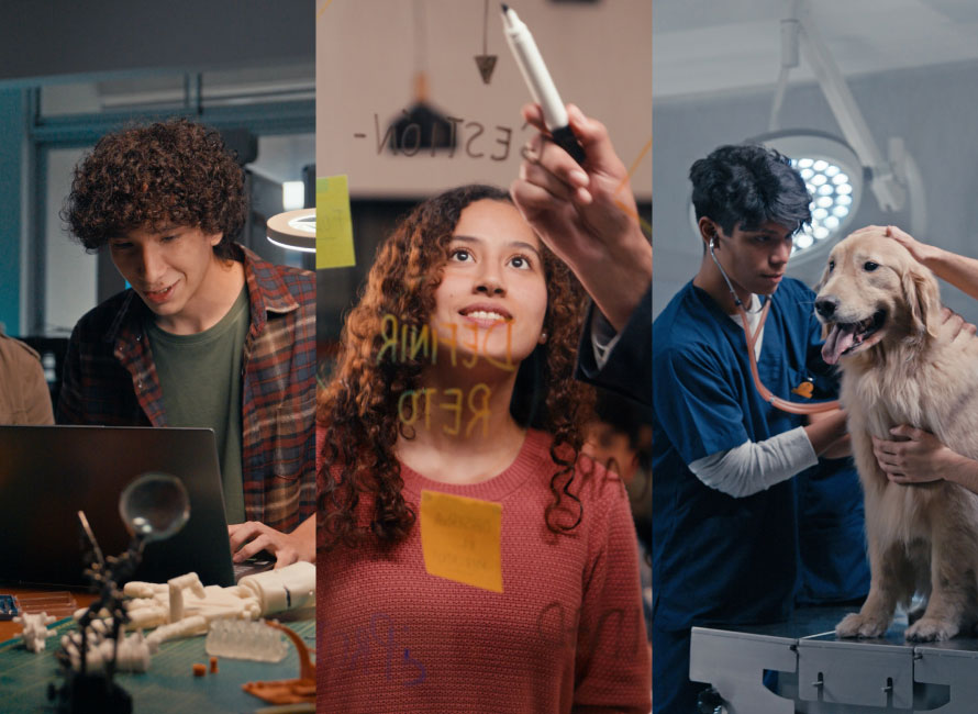 Conoce nuestros +20 programas de excelencia