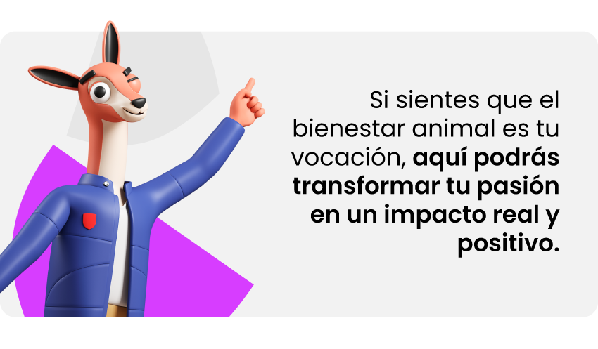 vocación medicina veterinaria y zootecnia