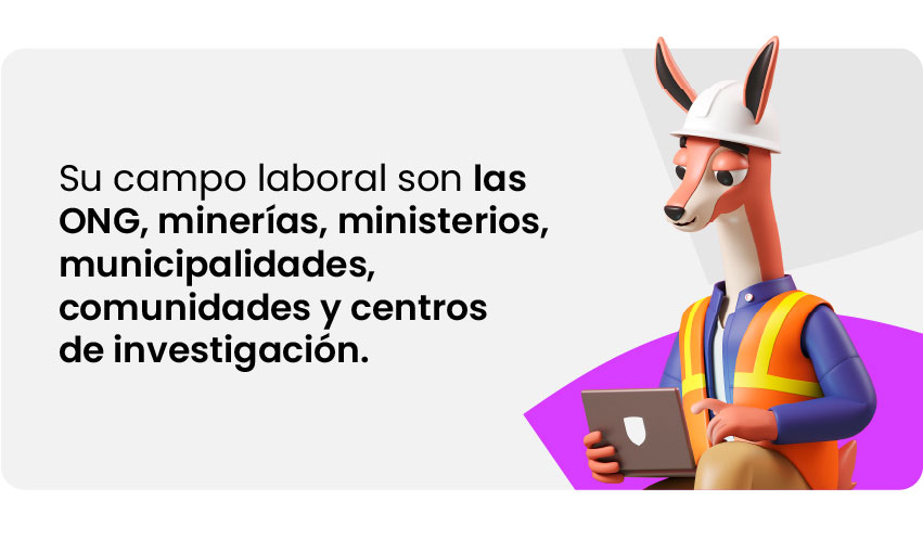 Campo laboral psicología social