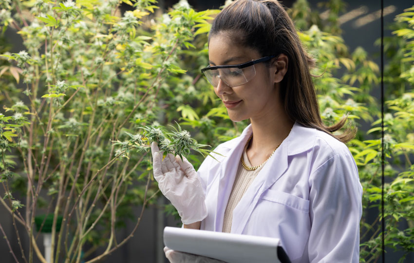 bióloga observando especies en un ecosistema natural